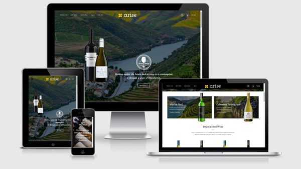 Arise - Wordpress theme bán rượu vang rượu ngoại đẹp