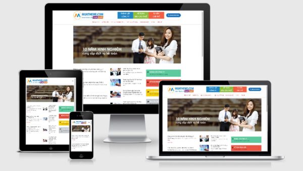 Theme Wordpress giới thiệu công ty dịch vụ kế toán báo cáo thuế