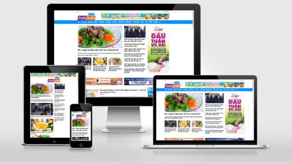 Theme wordpress tin tức / blog đã Việt hóa